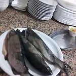 Alojamento de Acomodação e Pequeno-almoço Dream Stone Bar Restaurant