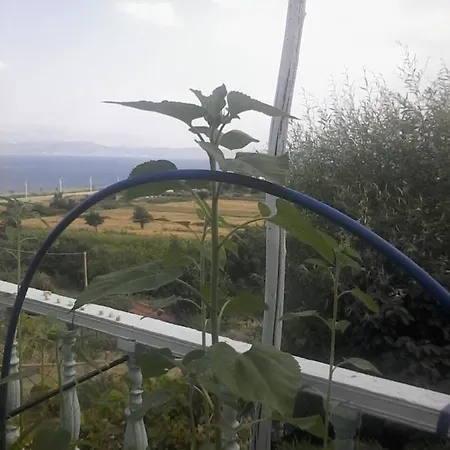 Dream Stone Bar Restaurant Bed & Breakfast Polje