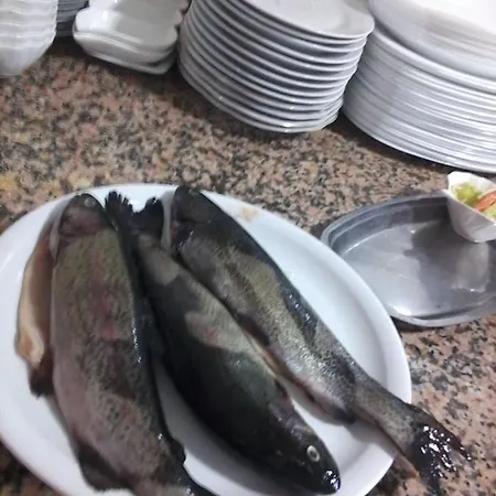 B&B Dream Stone Bar Restaurant