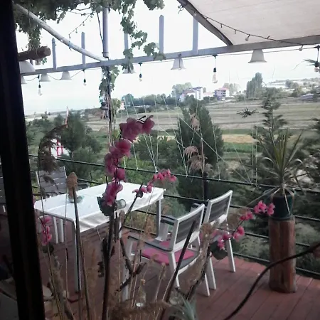 Dream Stone Bar Restaurant Bed & Breakfast