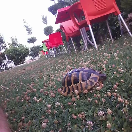 Dream Stone Bar Restaurant Polje